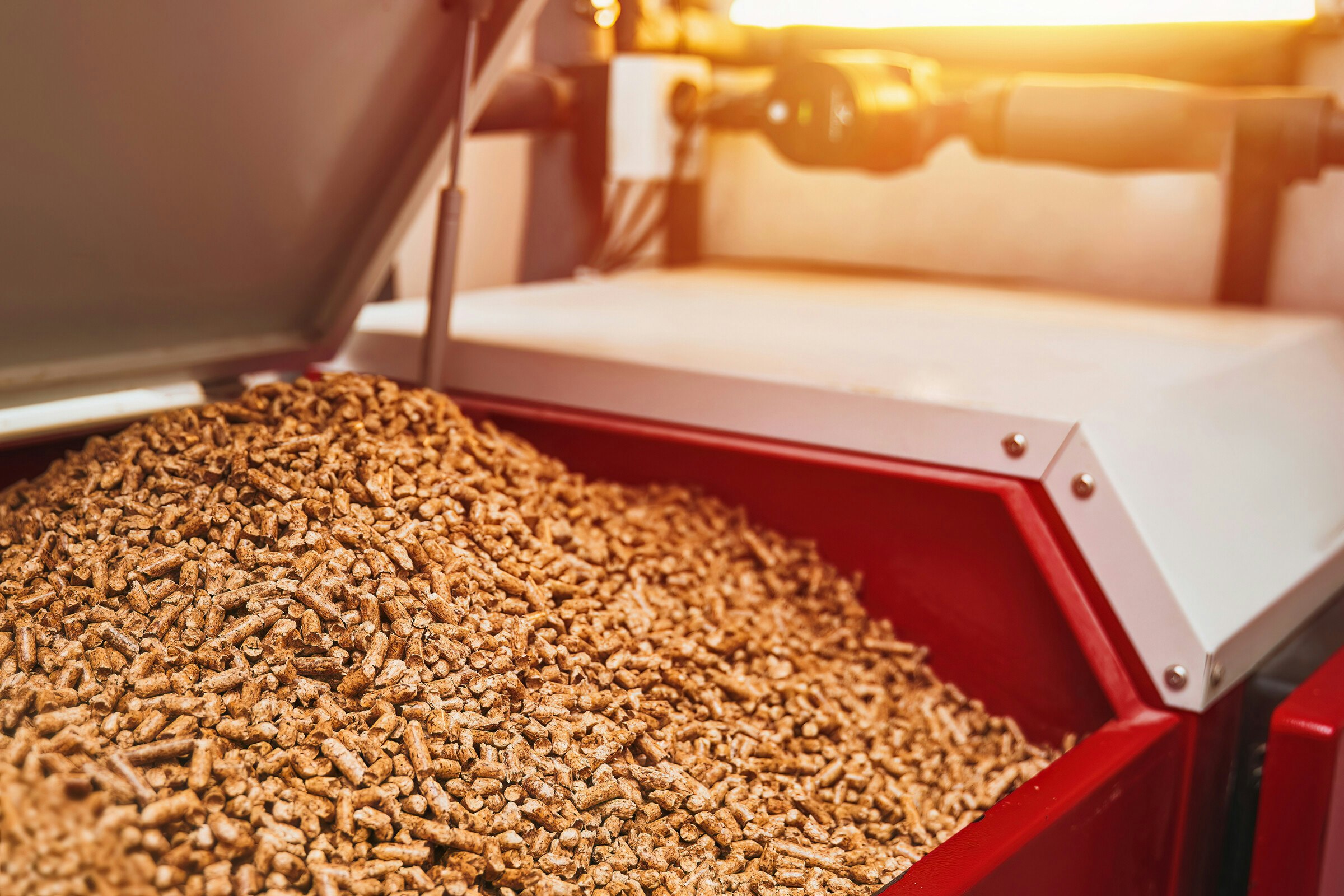 From Waste to Value: A New Vision for Canadian Forestry