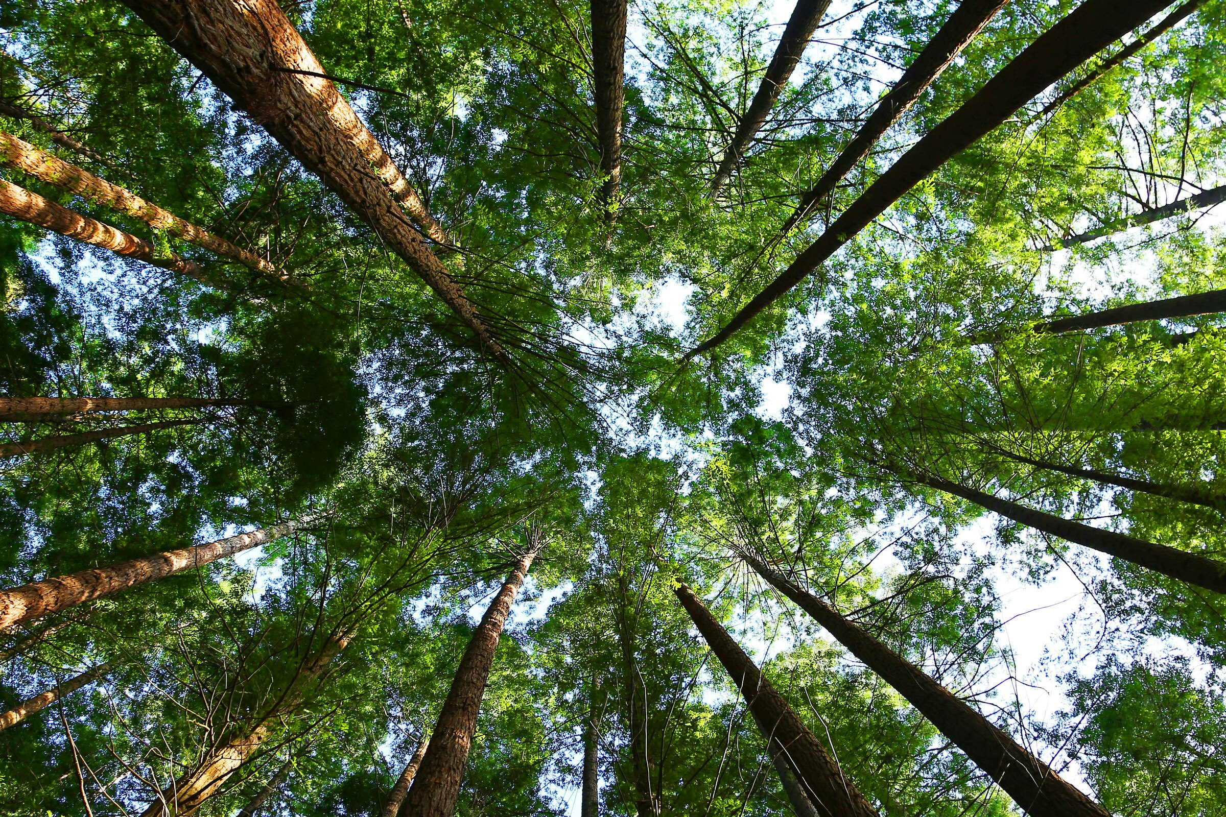 From Waste to World-Changer: NULIFE GreenTech and the Power of Cleantech Acceleration