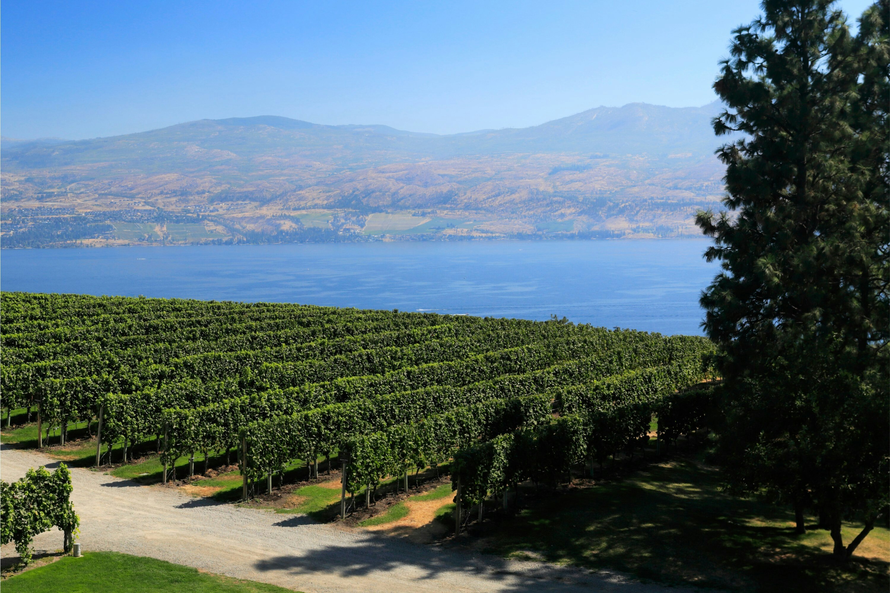 Canadian Cleantech Awards