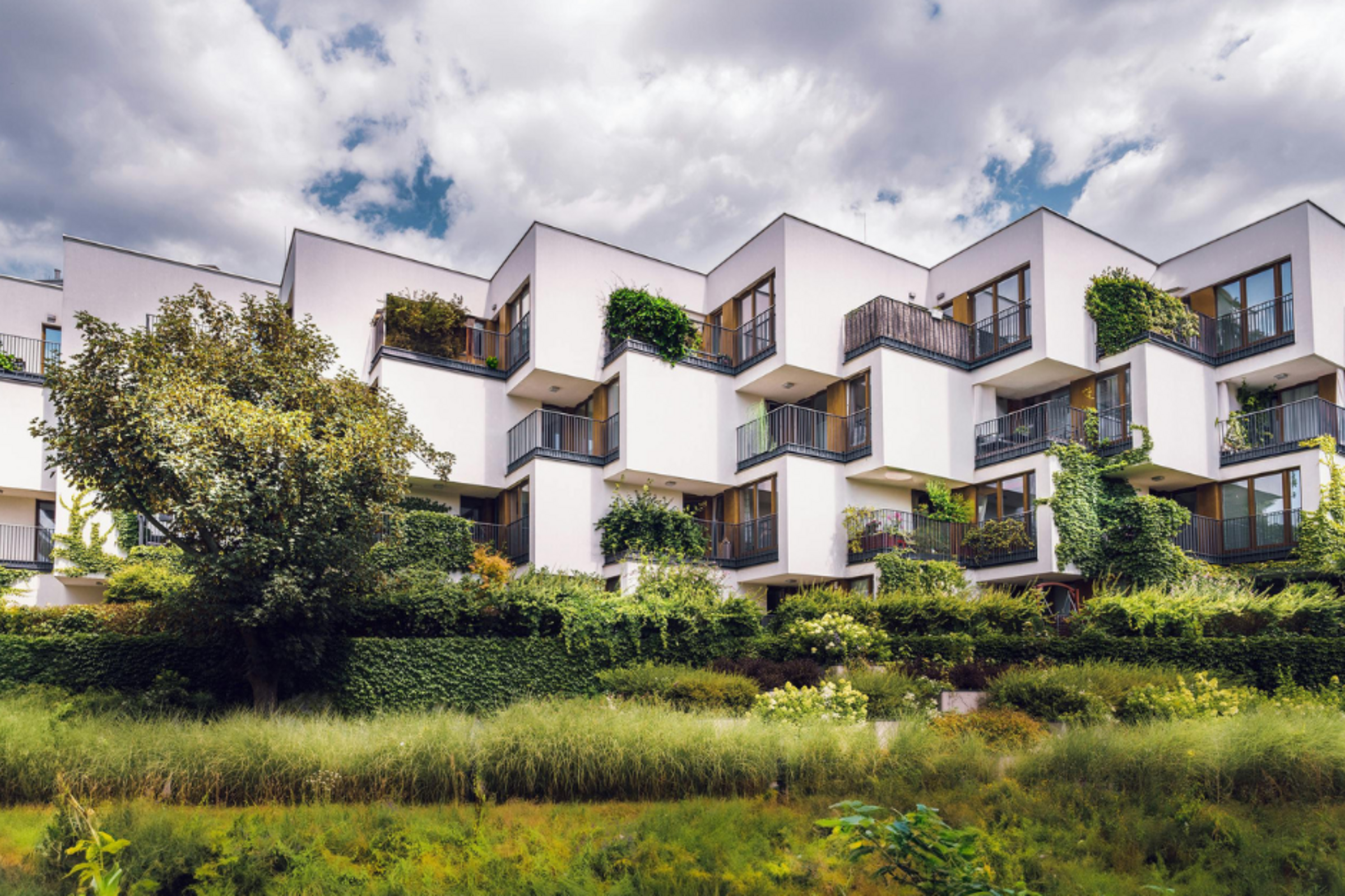 3 Ways to Reduce Carbon Emissions in the Built Environment