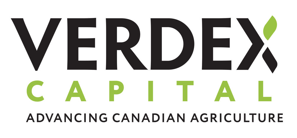 verdex-capital-logo-colour