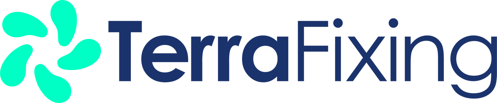 TerraFixing