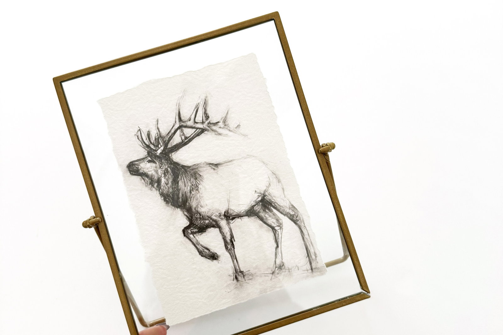 Holiday Reindeer Prints at Walmart