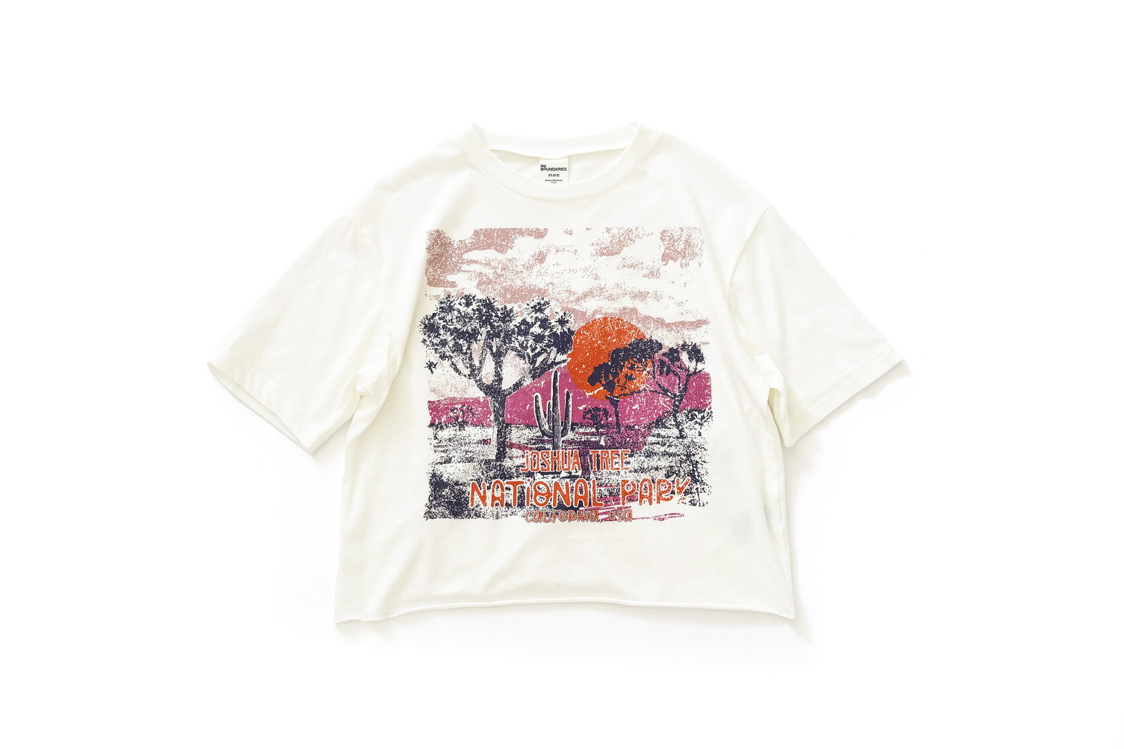 No Boundaries Boxy Cropped Graphic Tee