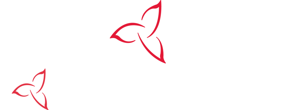 OFSAA Field Coverage